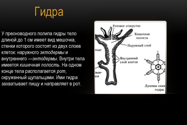 Kraken даркнет gigageek ru