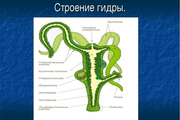 Как закинуть деньги на кракен